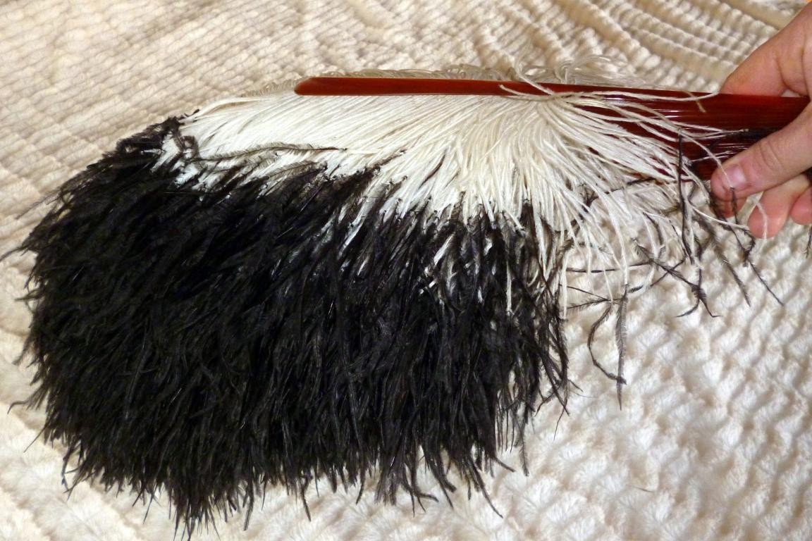 Black & White, pleureuse feather fan