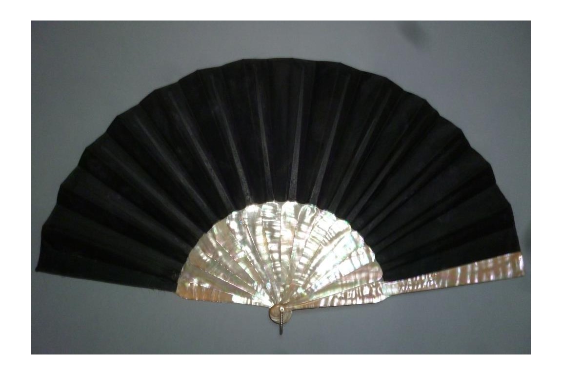The lady with iris, Art Nouveau fan