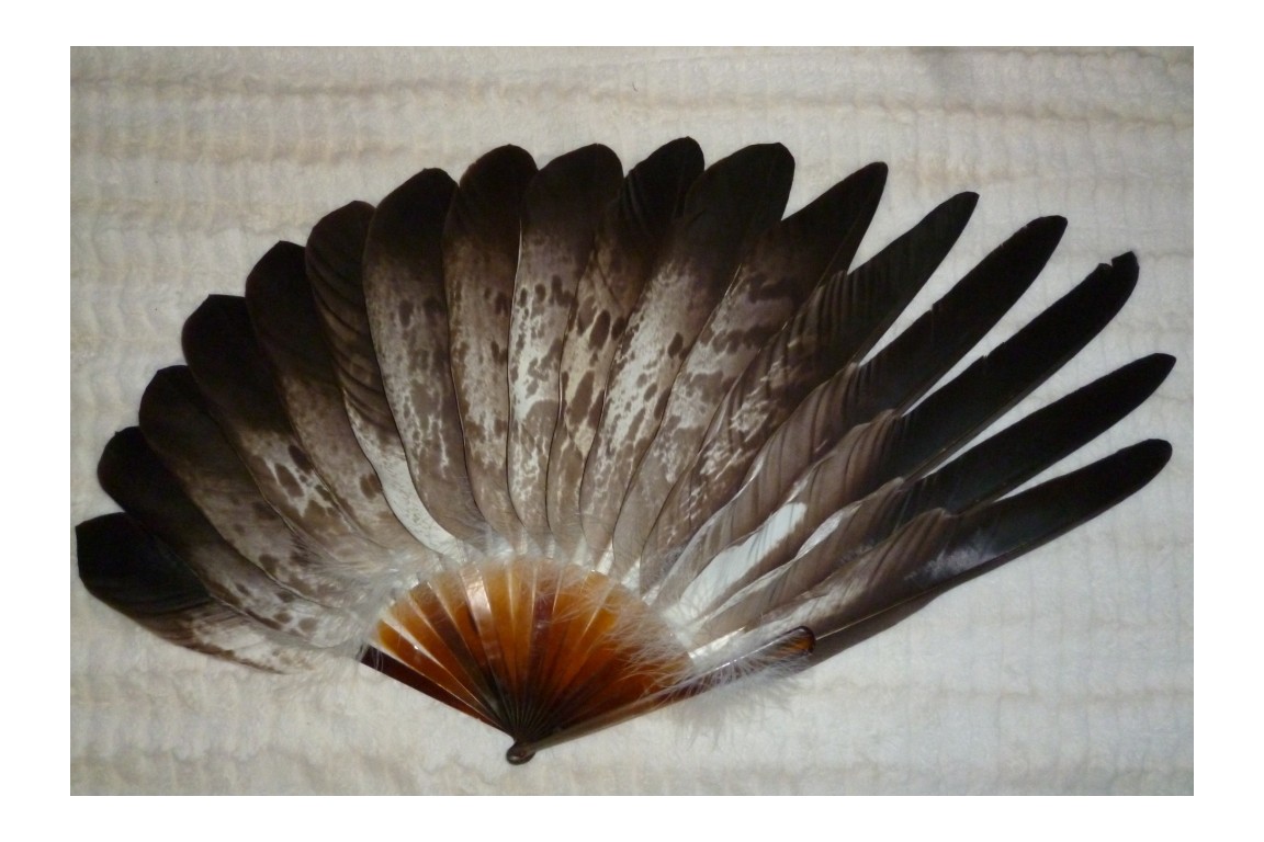 Eagle, Duvelleroy fan, late 19 - early 20th century