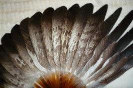 Eagle, Duvelleroy fan, late 19 - early 20th century