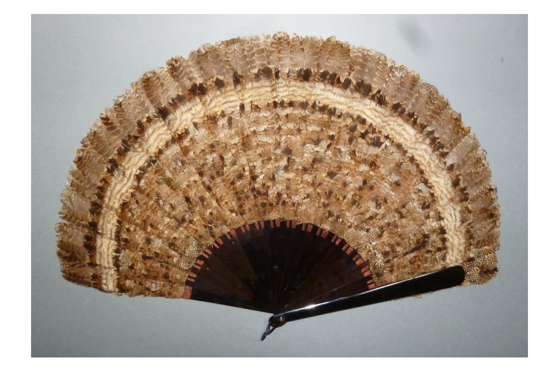 Partridge, hunting fan, circa 1895-1900