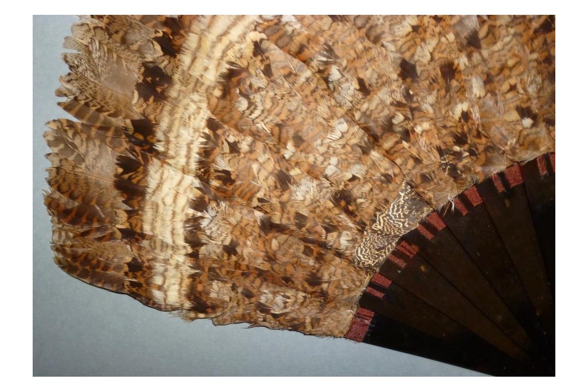 Partridge, hunting fan, circa 1895-1900