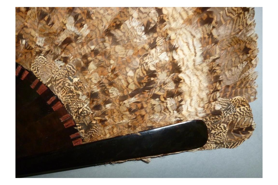 Partridge, hunting fan, circa 1895-1900
