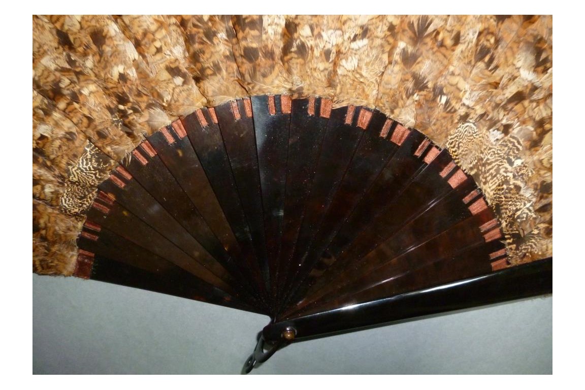 Partridge, hunting fan, circa 1895-1900