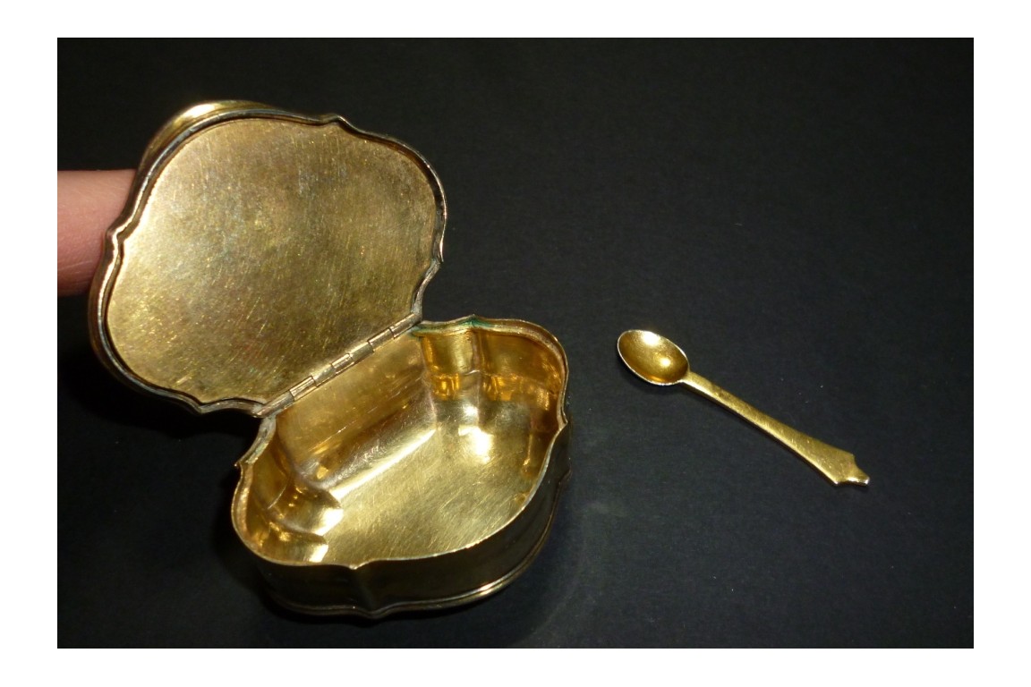 Tabatière pour tabac à priser, Allemagne XVIIIeme