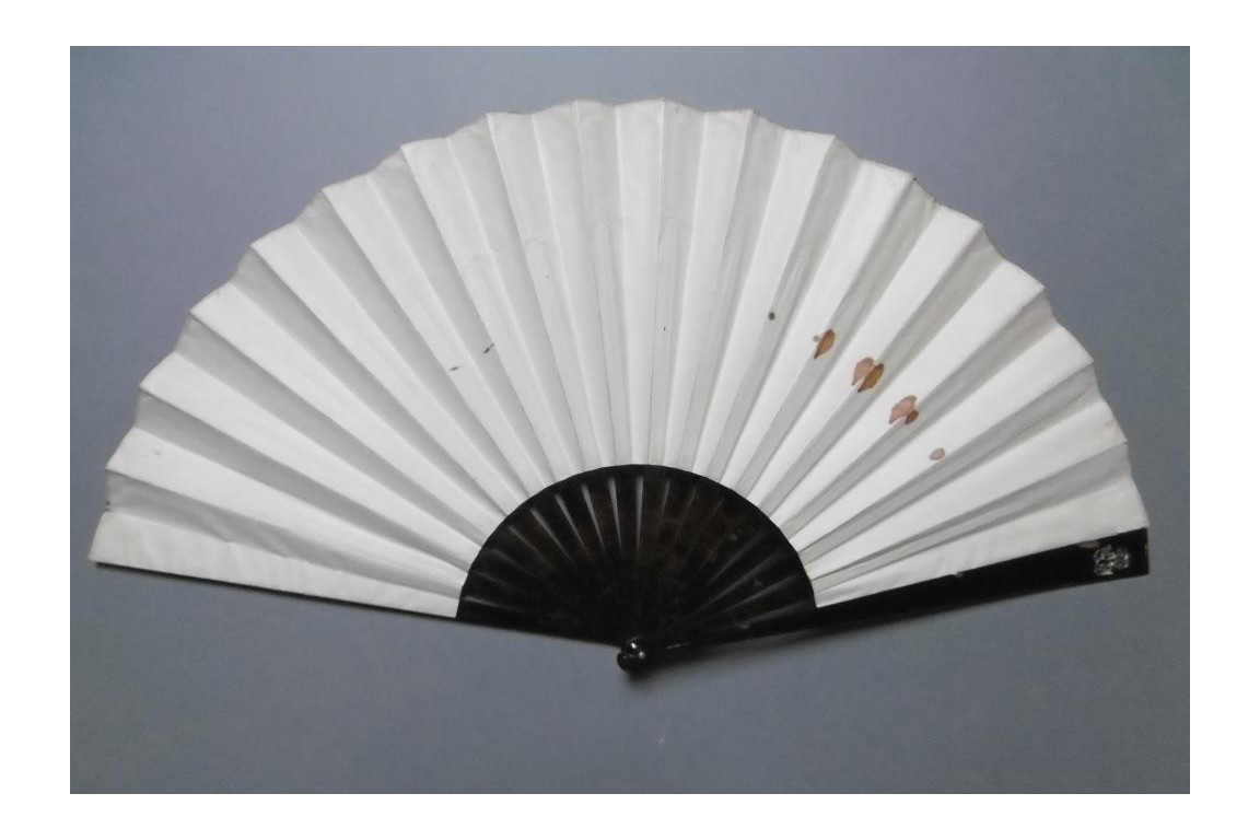 Orientalism by Thomasse, Duvelleroy fan in 1895