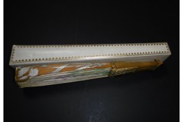 Iris et libellule, éventail Art Nouveau de Daudet et Duvelleroy