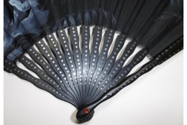 Gladioli by Gerard, Duvelleroy fan, cica 1900