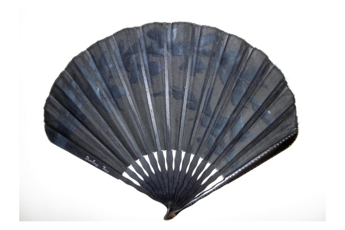 Gladioli by Gerard, Duvelleroy fan, cica 1900