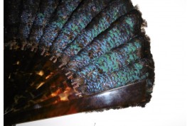 Lophophore, éventail fin XIXème