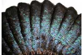 Himalayan monal, late 19th century