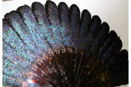 Himalayan monal, late 19th century