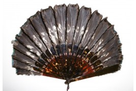 Himalayan monal, late 19th century