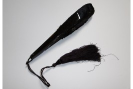Lophophore, éventail fin XIXème