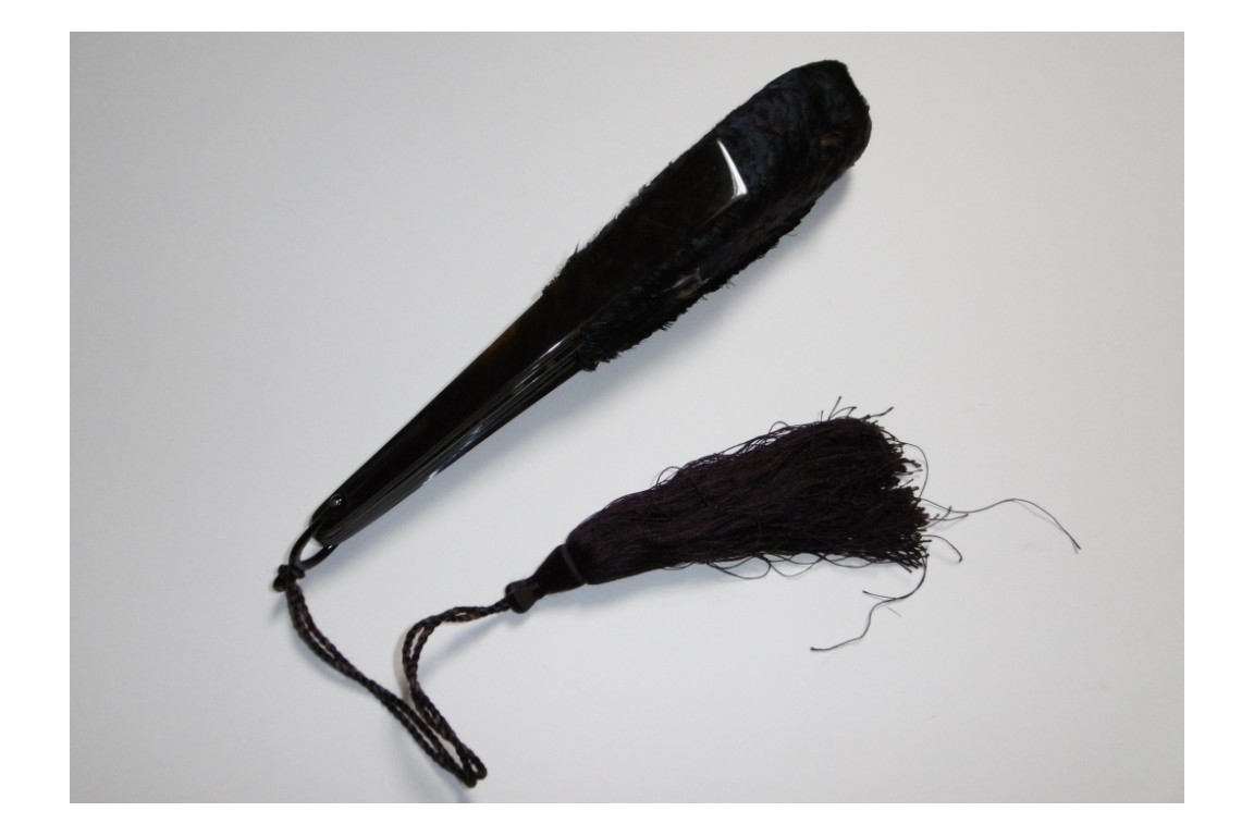 Lophophore, éventail fin XIXème