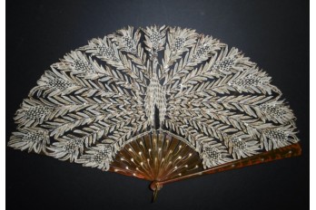 Peacock by Kees, fan circa 1900-1910