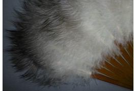 Éventail nuage, fin XIXème siècle