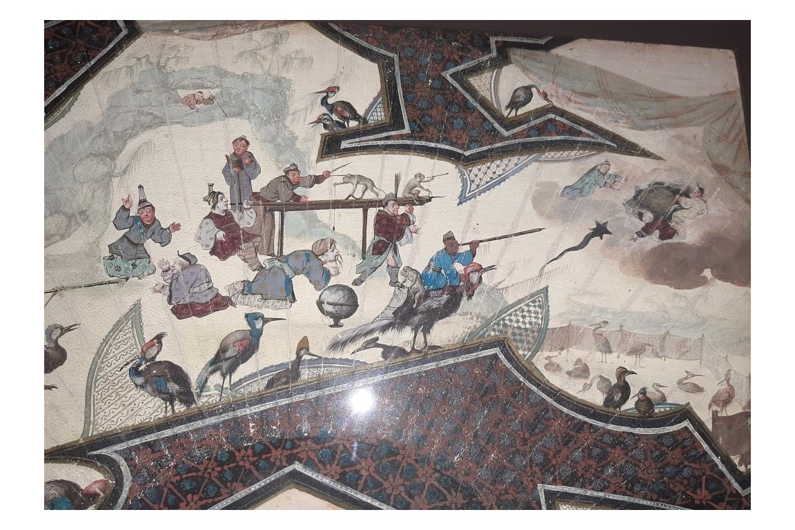 Comète de Halley, feuille d'éventail XVIIIème