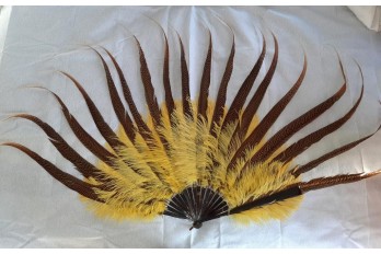 Spectacular, Golden pheassant feather fan, 20th century