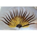 Spectaculaire, éventail en plumes de faisan doré, XXème