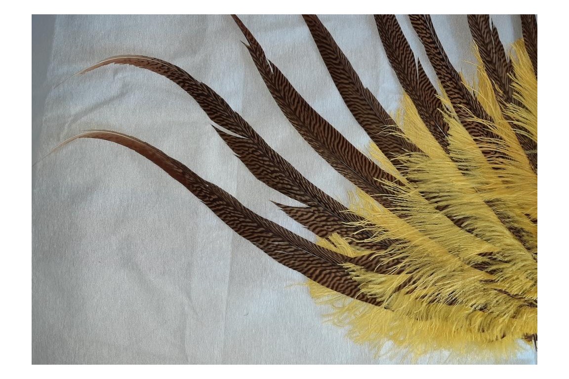 Spectacular, Golden pheassant feather fan, 20th century