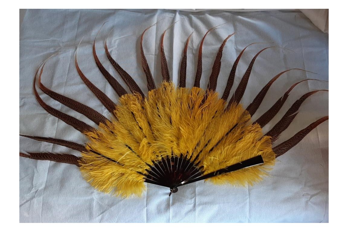 Spectaculaire, éventail en plumes de faisan doré, XXème