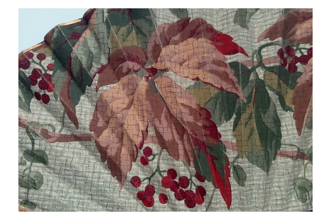 Wild grappe, fan circa 1900-1920