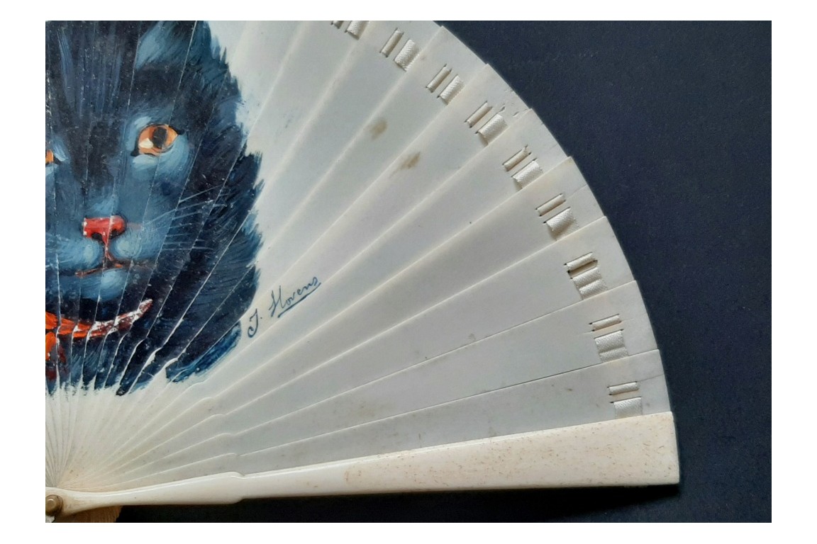 The cat of Hovens, fan circa 1905-10