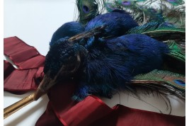 Le paon, écran XIXème siècle