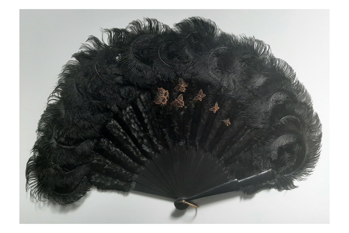 Butterflies, feather fan, late 19th century