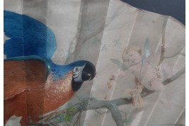 Macaw by Labarre, late 19th century fan