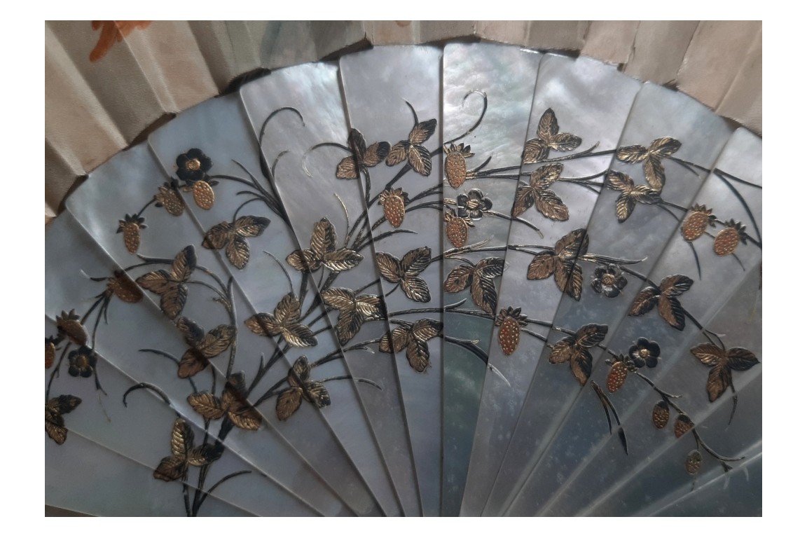 Macaw by Labarre, late 19th century fan
