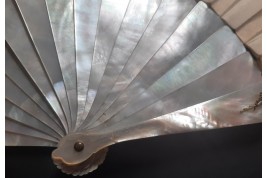 Macaw by Labarre, late 19th century fan