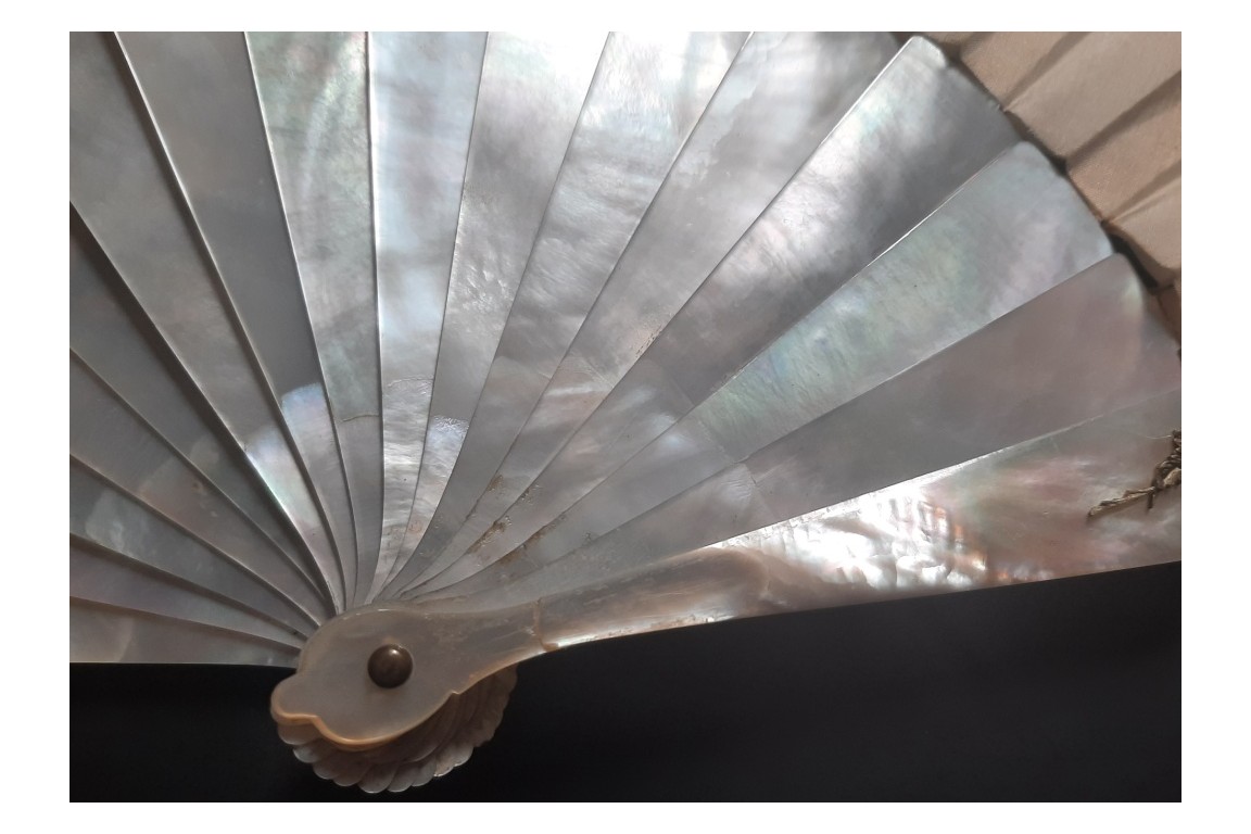 Macaw by Labarre, late 19th century fan