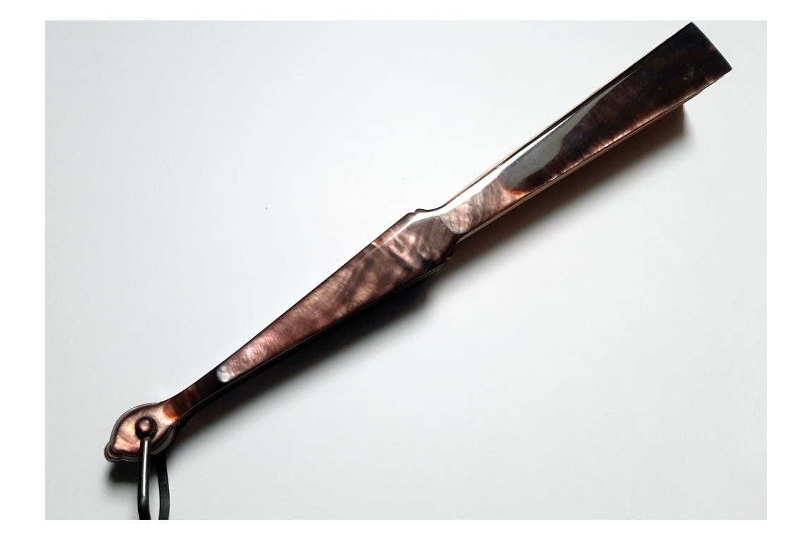 Riou's tribute, fan circa 1880