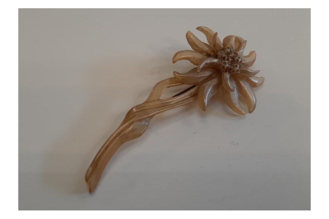 Edelweiss de GIP, broche période Art nouveau