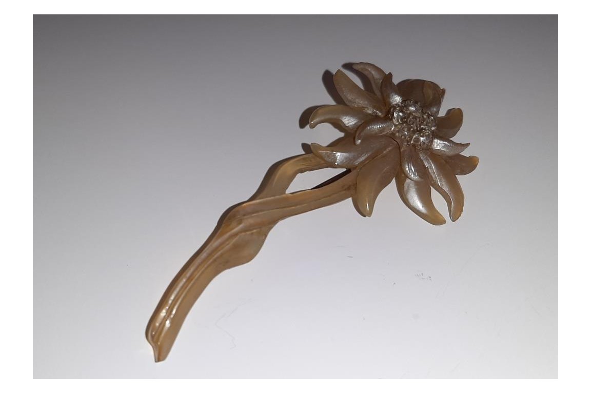 Edelweiss de GIP, broche période Art nouveau