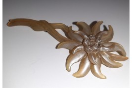 Edelweiss de GIP, broche période Art nouveau