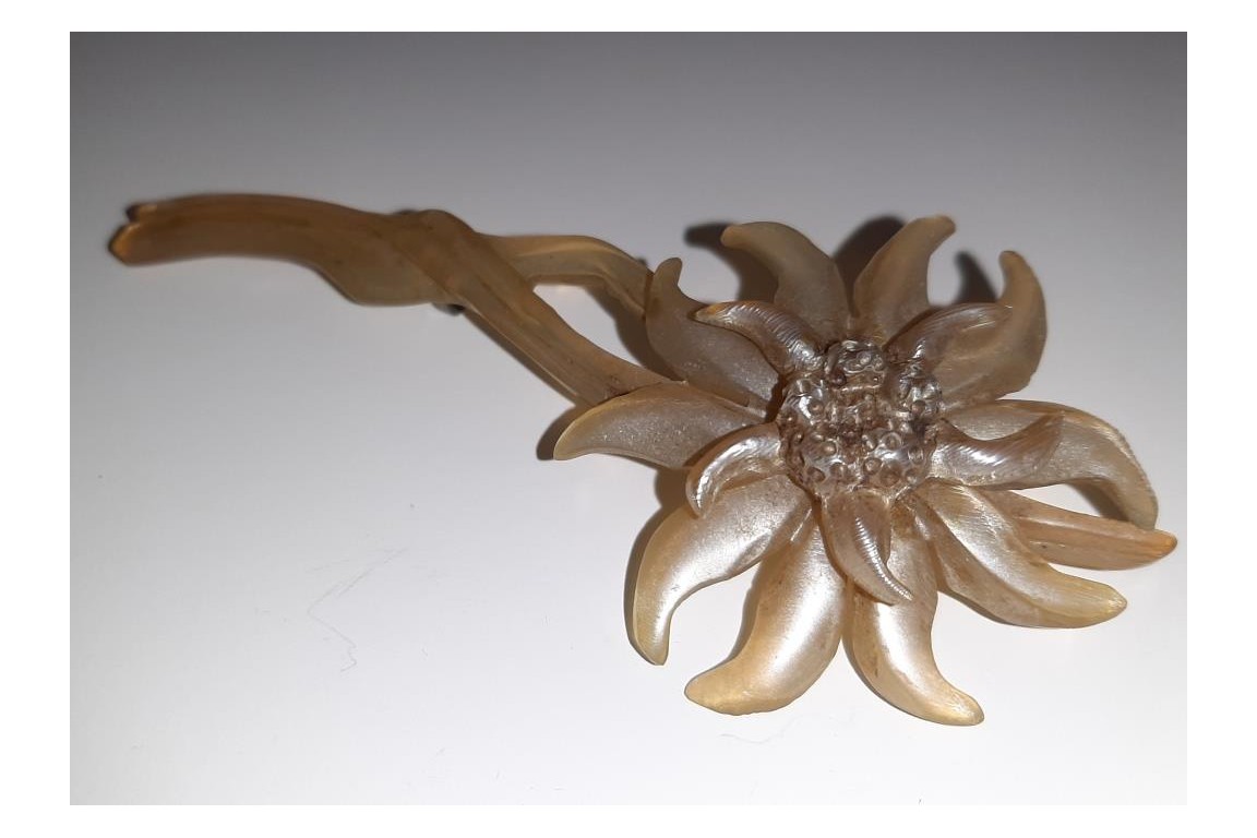 Edelweiss de GIP, broche période Art nouveau