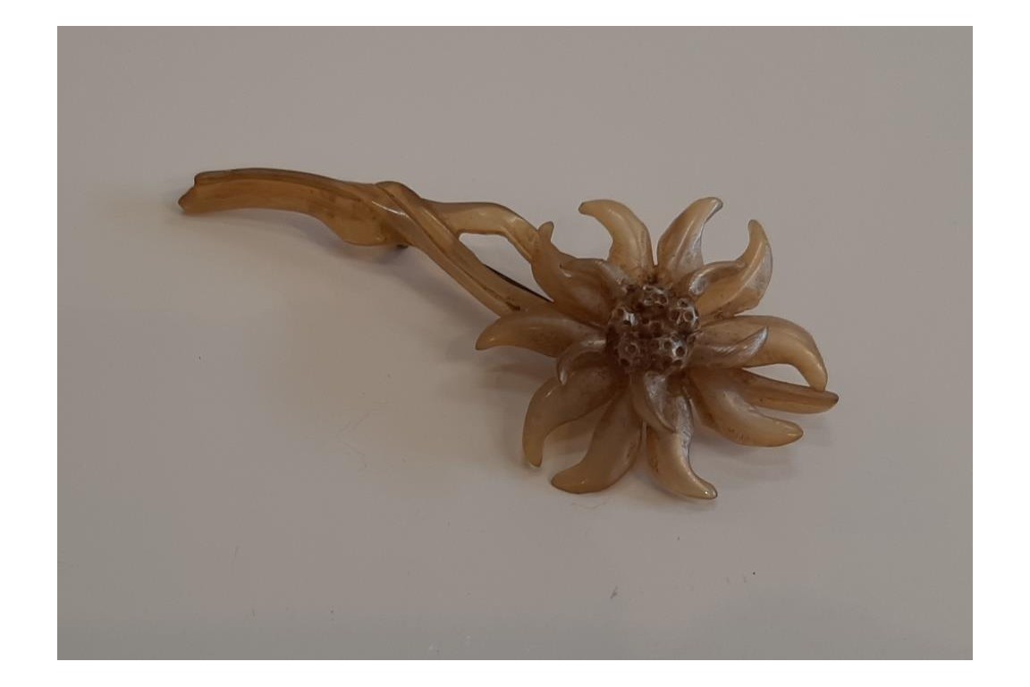 Edelweiss de GIP, broche période Art nouveau