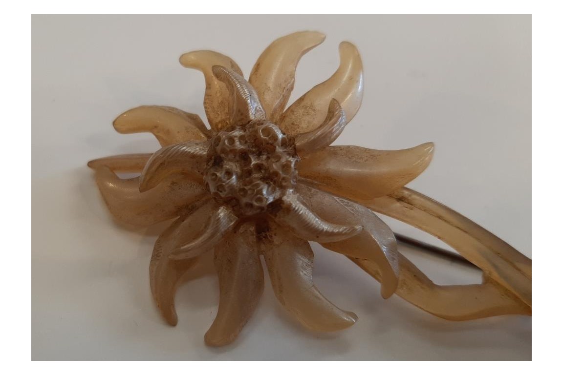 Edelweiss de GIP, broche période Art nouveau