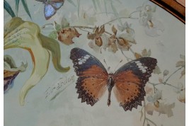 Les vrais papillons, feuille d'éventail de Gardon et Poulin, vers 1895