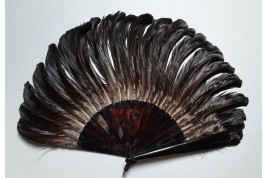 Photogaphic fan, late 19th century