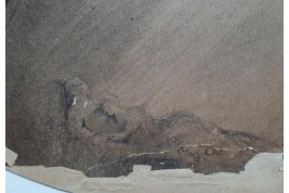 La nababesse, feuille d'éventail de Sheringham vers 1910