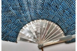 Hypnotic blue jay, fan by Otto Bock late 19th century