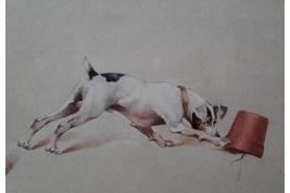 Le chien ratier, feuille d'éventail vers 1900