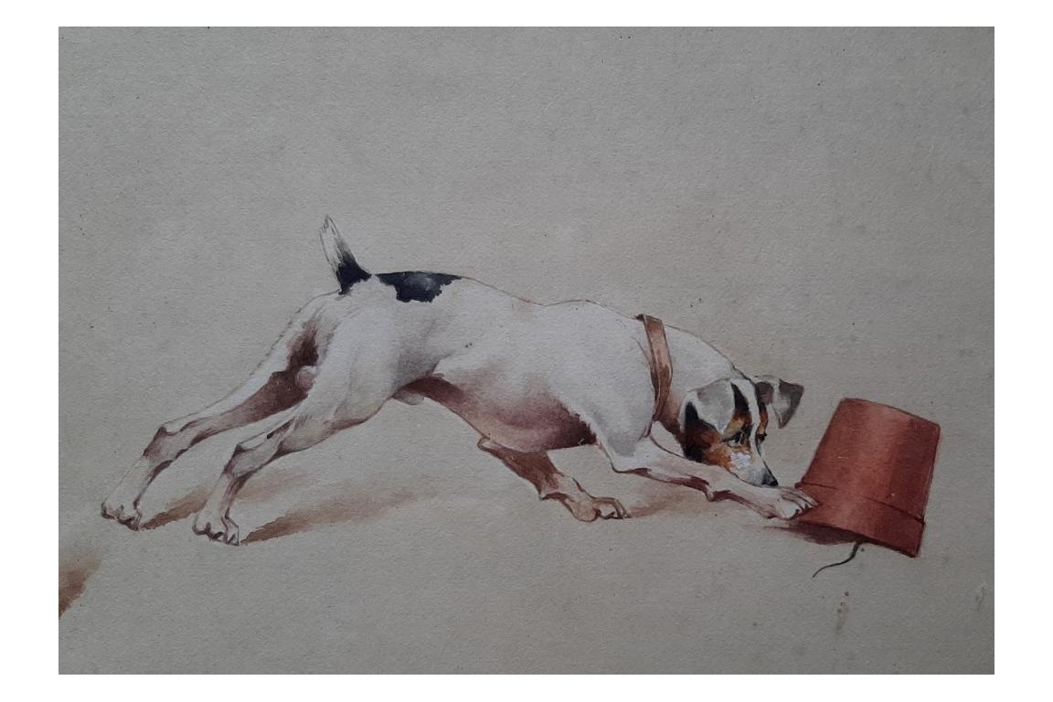 Le chien ratier, feuille d'éventail vers 1900