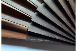 Les cinq chiens de Rodeck à Vienne, éventail vers 1880-1900