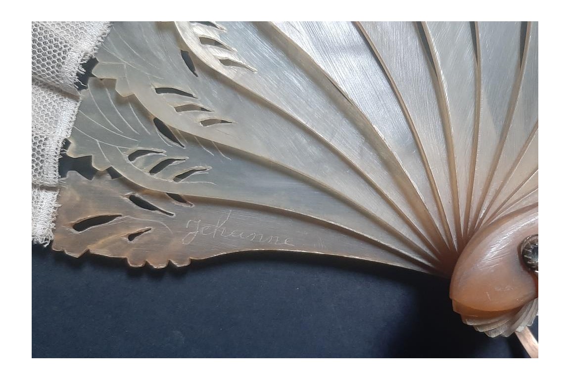 Lupine flowers, fan circa 1900