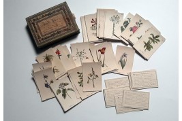 Jeu de Flore, cartes pour écrire, XIXème siècle